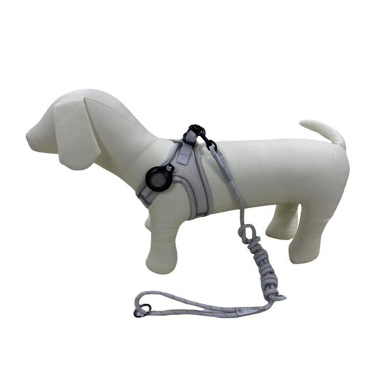 Sumo Secure Dog Harness with Leash & AirTag Holder